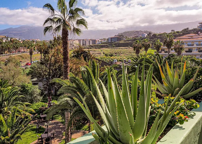 Perfect * Puerto de la Cruz (Tenerife)